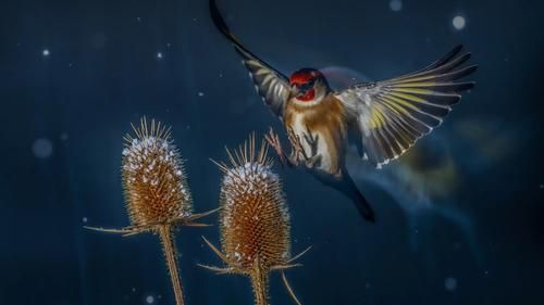 Изображение-image-092f95f280b4bf063da68832381a8d2d3ec88852-2020x1346-webp